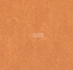 Линолеум Forbo Marmoleum Marbled Fresco 3825-382535 African desert фото 1 | FLOORDEALER